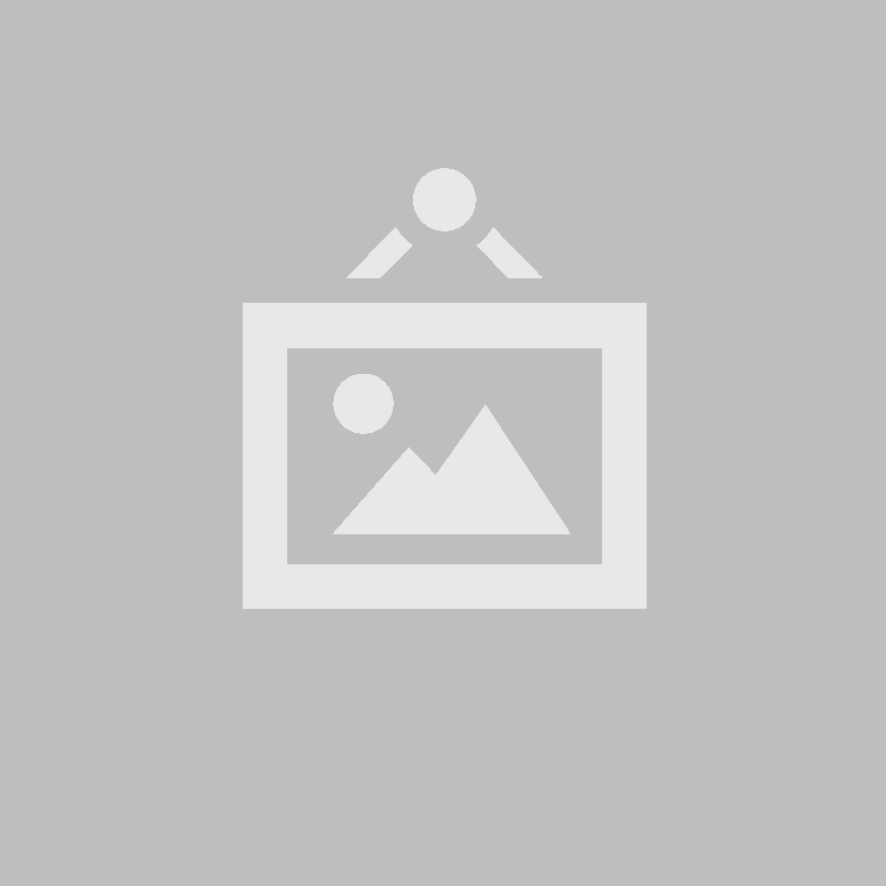 Volkswagen Bora Periyodik Bakım İşçiliği Benzinli  1998-2005 Modeller